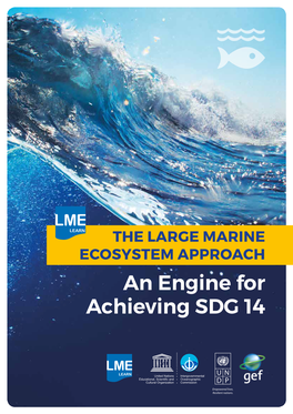 THE LARGE MARINE ECOSYSTEM APPROACH an Engine for Achieving SDG 14