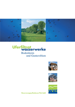 Uferfiltrat Wasserwerke Bodenheim Und Guntersblum