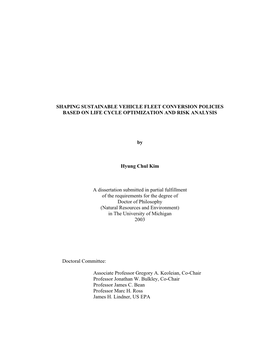 Shaping Sustainable Vehicle Fleet Conversion Policies Based on Life Cycle Optimization and Risk Analysis