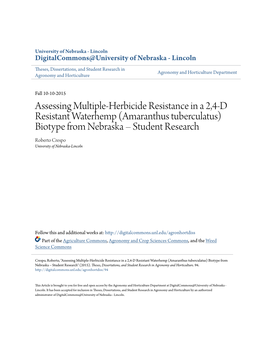 Assessing Multiple-Herbicide Resistance in a 2,4-D Resistant