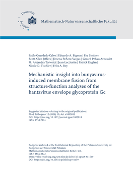 Mechanistic Insight Into Bunyavirus-Induced Membrane Fusion from Structure-Function Analyses of the Hantavirus Envelope Glycoprotein Gc