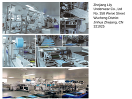 Zhejiang Lily Underwear Co., Ltd No. 358 Wenxi Street Wucheng District Jinhua Zhejiang, CN 321025