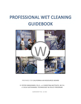 Professional Wet Cleaning Guidebook