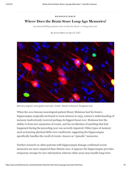 Where Does the Brain Store Long-Ago Memories? - Scientific American