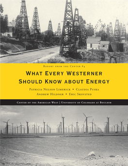 What Every Westerner Should Know About Energy