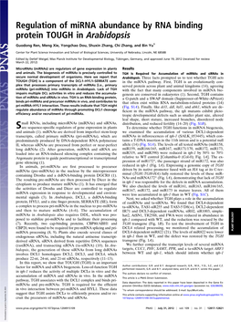 Regulation of Mirna Abundance by RNA Binding Protein TOUGH in Arabidopsis