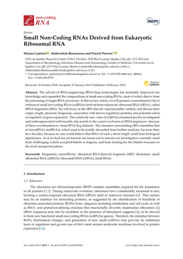 Small Non-Coding Rnas Derived from Eukaryotic Ribosomal RNA
