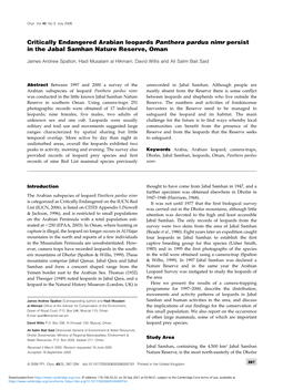 Critically Endangered Arabian Leopards Panthera Pardus Nimr Persist in the Jabal Samhan Nature Reserve, Oman