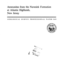 Ammonites from the Navesink Formation at Atlantic Highlands, New Jersey