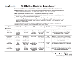 Bird Habitat Plants for Travis County