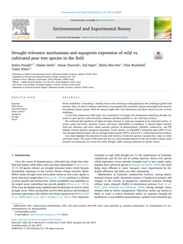 Drought Tolerance Mechanisms and Aquaporin Expression of Wild Vs. Cultivated Pear Tree Species in the Field