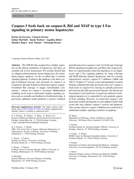 Caspase-3 Feeds Back on Caspase-8, Bid and XIAP in Type I Fas Signaling in Primary Mouse Hepatocytes