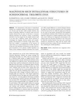 Magnesiumrich Intralensar Structures In