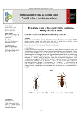 Hemiptera Fauna of Ratapani Wildlife Sanctuary, Madhya Pradesh, India