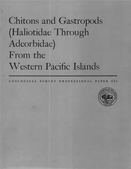 Chitons and Gastropods (Haliotidae Through Adeorbidae) from the Western Pacific Islands