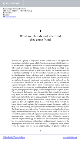 What Are Plastids and Where Did They Come From?