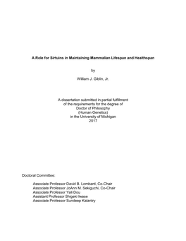 A Role for Sirtuins in Maintaining Mammalian Lifespan and Healthspan