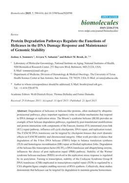 Protein Degradation Pathways Regulate the Functions of Helicases in the DNA Damage Response and Maintenance of Genomic Stability