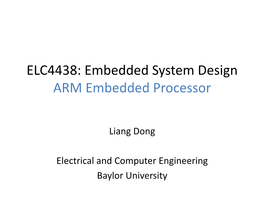 ARM Embedded Processor