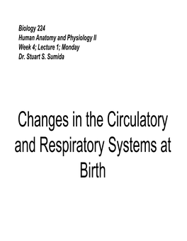 Changes in the Circulatory and Respiratory Systems at Birth