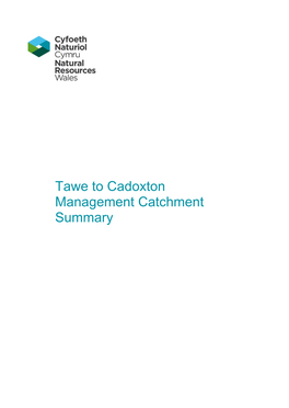Tawe to Cadoxtoncmanagement Catchment Summary