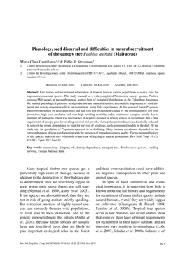 Phenology, Seed Dispersal and Difficulties in Natural Recruitment of the Canopy Tree Pachira Quinata (Malvaceae)