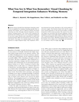 Visual Chunking by Temporal Integration Enhances Working Memory