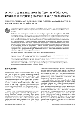 A New Large Mammal from the Ypresian of Morocco: Evidence of Surprising Diversity of Early Proboscideans