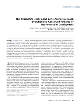 The Drosophila Wings Apart Gene Anchors a Novel, Evolutionarily Conserved Pathway of Neuromuscular Development