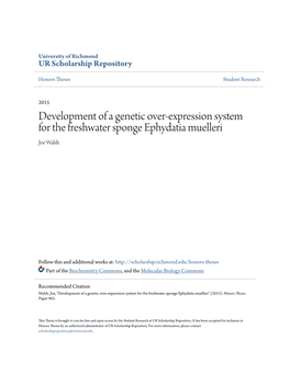 Development of a Genetic Over-Expression System for the Freshwater Sponge Ephydatia Muelleri Joe Walsh