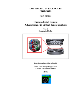 Human Dental Tissues: Advancement in Virtual Dental Analysis