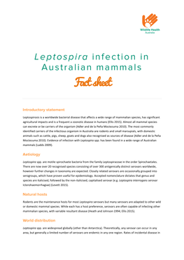 Leptospirosis