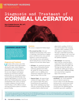 Corneal Ulceration Diagnosis Andtreatmentof Promote Healing