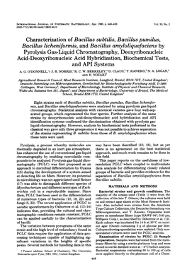 Characterization of Bacillus Subtilis, Bacillus Pumilus, Bacillus