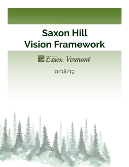 Saxon Hill Town Forest Vision Framework