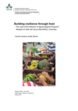 Building Resilience Through Food – the Case of the Network of Agroecological Peasants´ Markets of Valle Del Cauca (Red MAC), Colombia