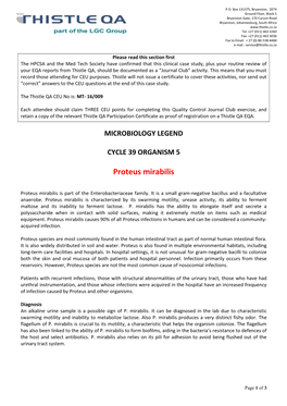 Cycle 39 Organism 5