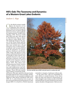 Hill's Oak: the Taxonomy and Dynamics of a Western Great Lakes