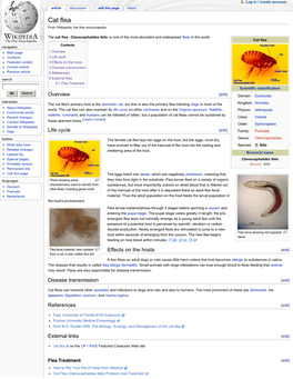 Cat Flea from Wikipedia, the Free Encyclopedia