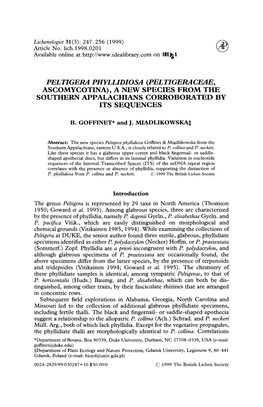 Peltigera Phyllidiosa (Peltigeraceae, Ascomycotina), a New Species from the Southern Appalachians Corroborated by Its Sequences