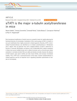 TAT1 Is the Major Α-Tubulin Acetyltransferase in Mice