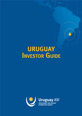 Investor Guide