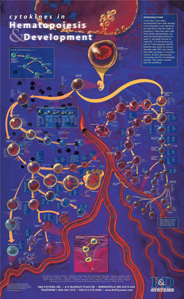 Cytokines in Hematopoeisis & Development