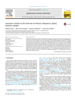 Carnivore Activity in the Sima De Los Huesos (Atapuerca, Spain) Hominin Sample