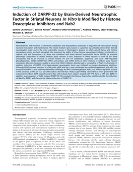 Induction of DARPP-32 by Brain-Derived Neurotrophic Factor in Striatal Neurons in Vitro Is Modified by Histone Deacetylase Inhibitors and Nab2