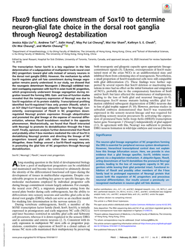 Fbxo9 Functions Downstream of Sox10 to Determine Neuron-Glial Fate Choice in the Dorsal Root Ganglia Through Neurog2 Destabilization
