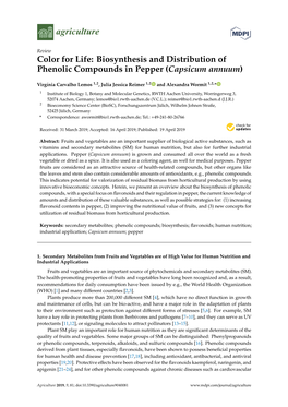 Color for Life: Biosynthesis and Distribution of Phenolic Compounds in Pepper (Capsicum Annuum)