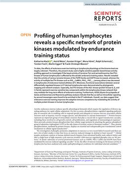 Profiling of Human Lymphocytes Reveals a Specific Network of Protein Kinases Modulated by Endurance Training Status