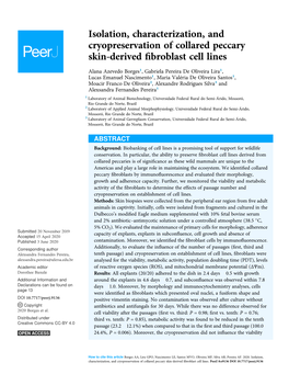 Isolation, Characterization, and Cryopreservation of Collared Peccary Skin-Derived ﬁbroblast Cell Lines