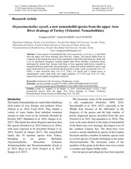 Research Article Oxynoemacheilus Veyseli, a New Nemacheilid Species